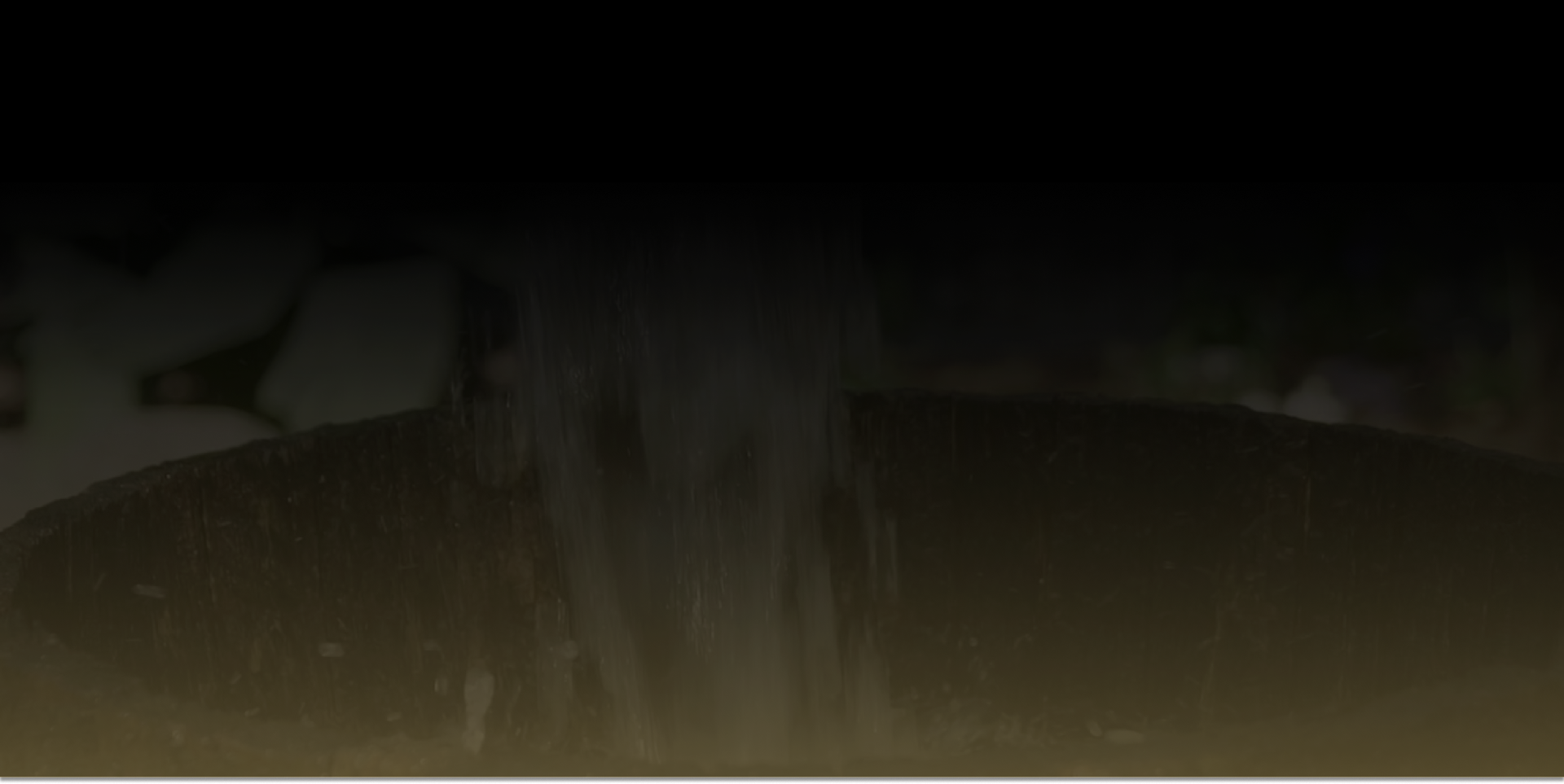 Best-Selling Author (3)