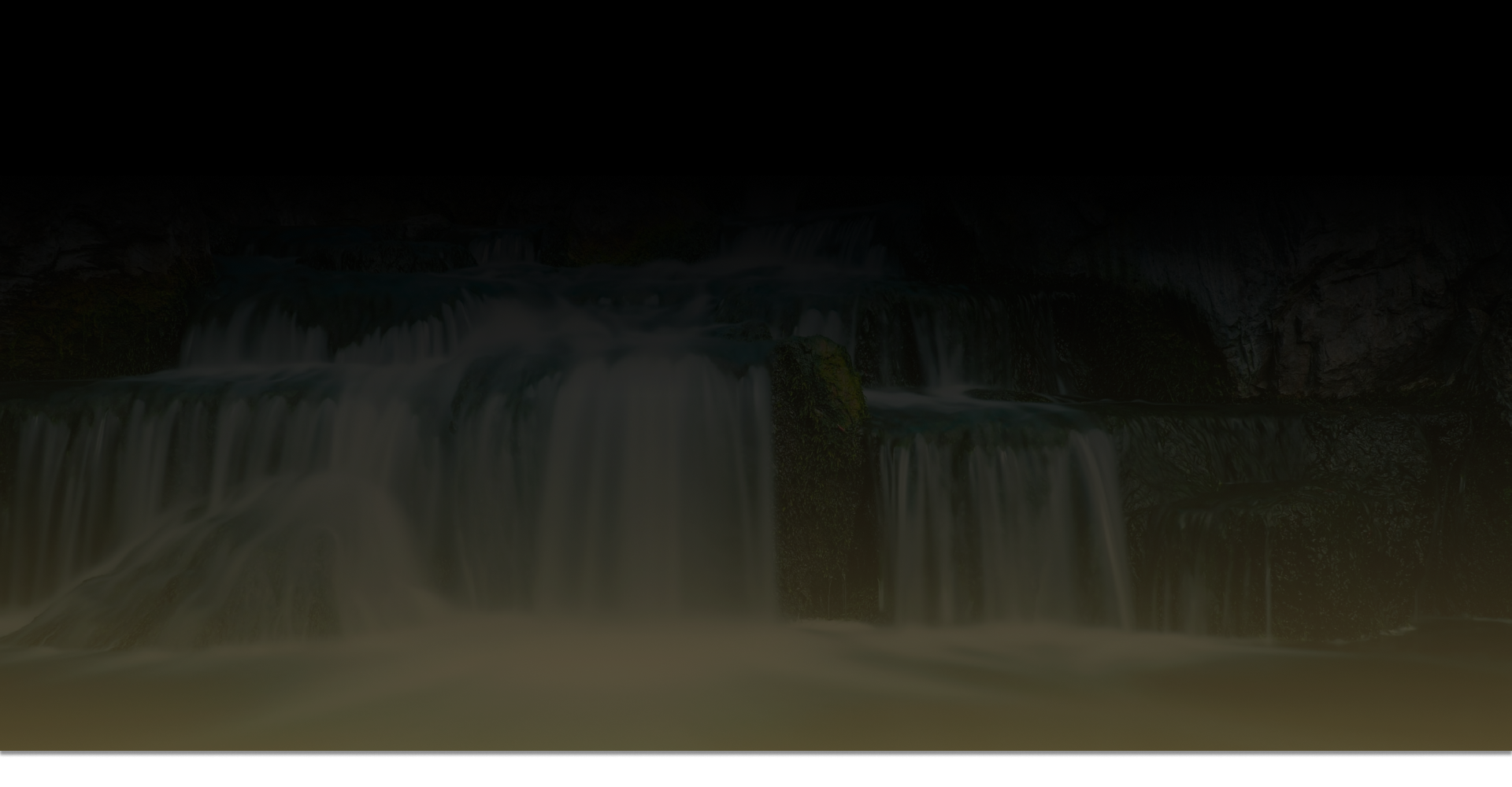 THE RISE OF AUTHOR ENTREPRENEURS: BEYOND THE BOOK BUSINESS MODEL