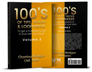 To Get A Publisher To Fall In Love With Your Book Vol. 2 English (Hardcover)